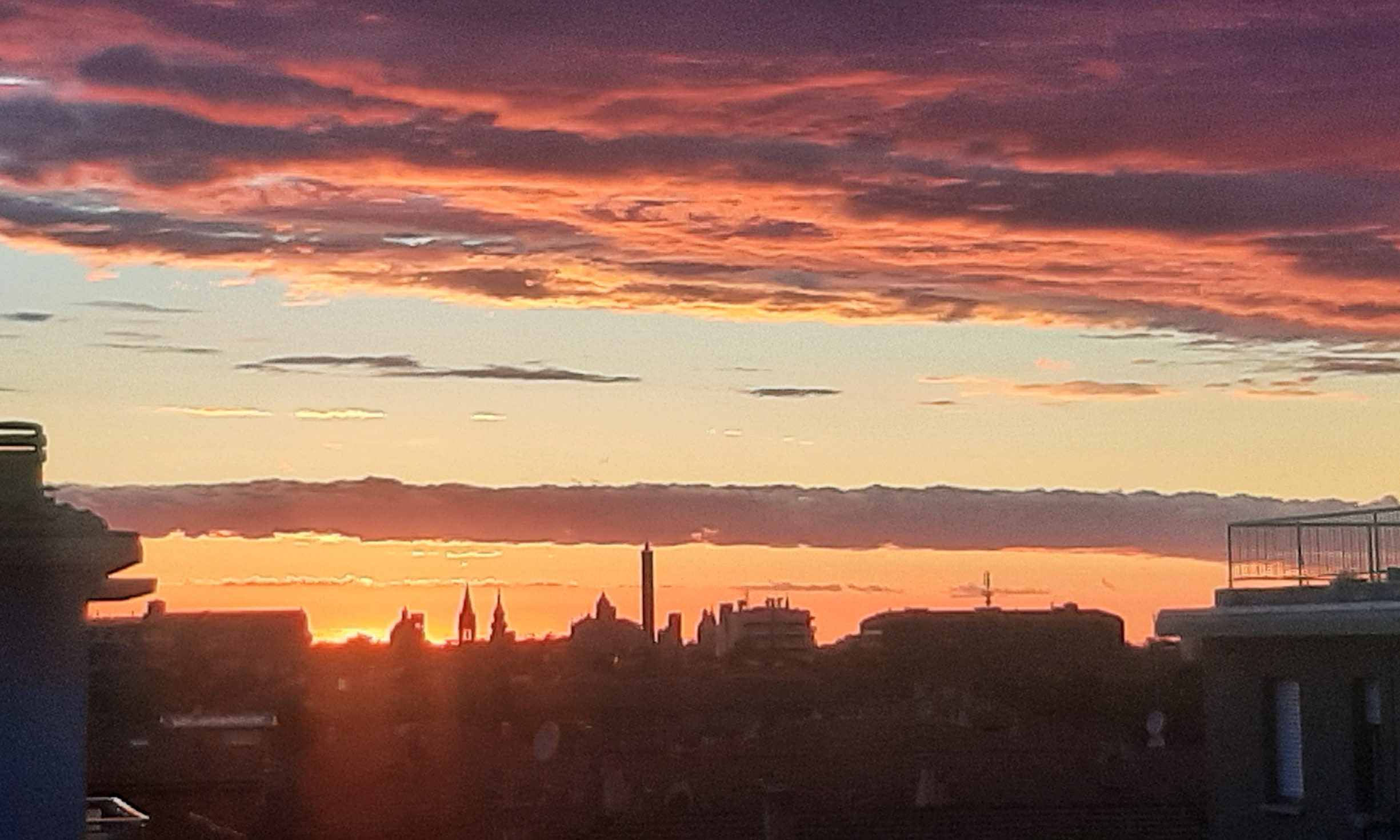 bologna calore