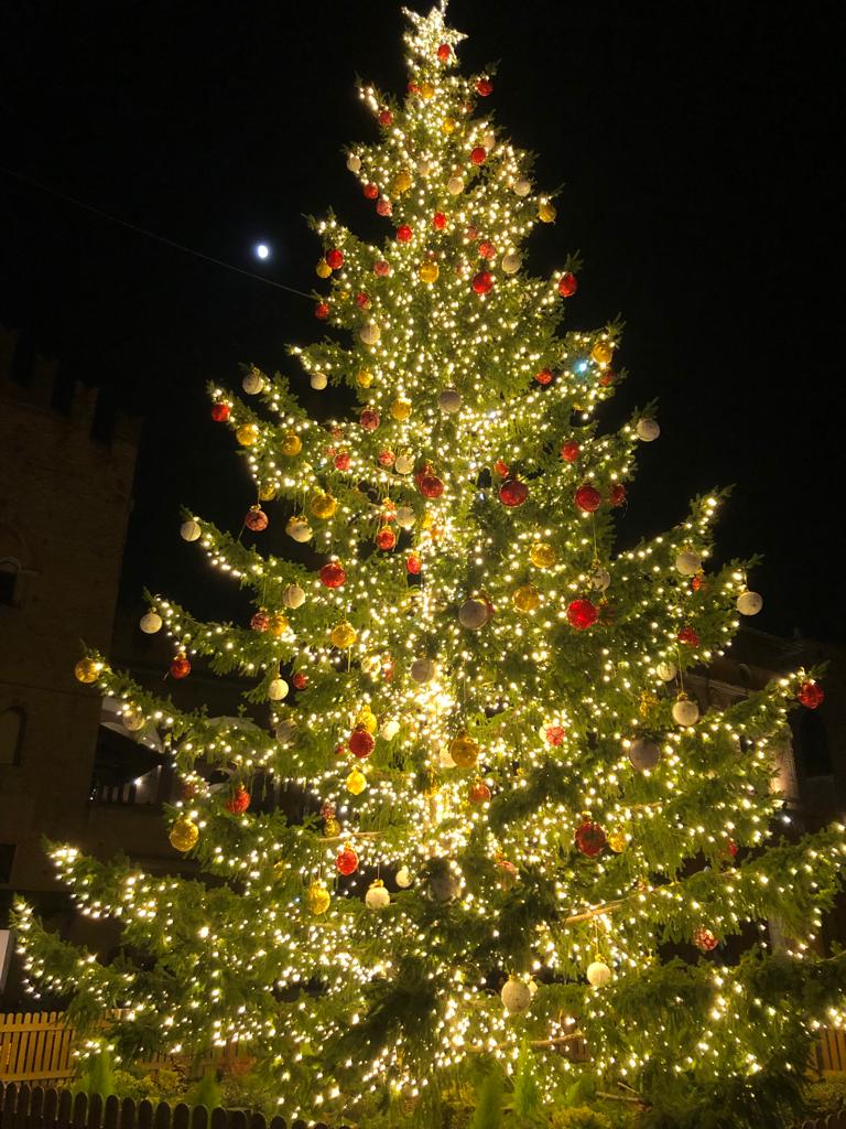 albero di natale