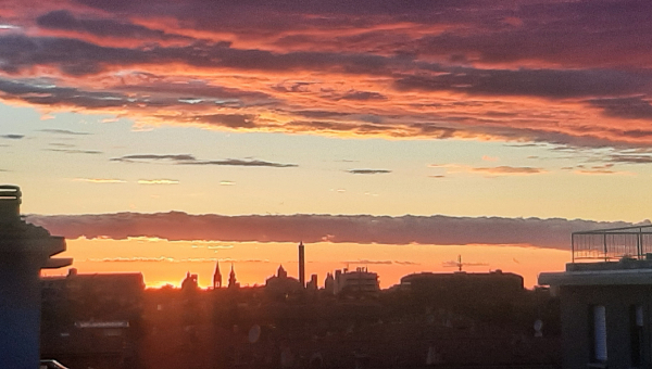 bologna calore