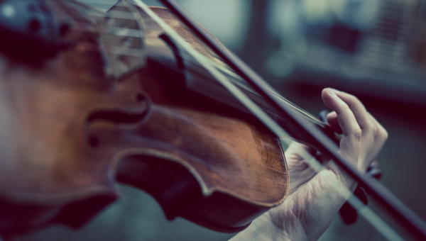 violino
