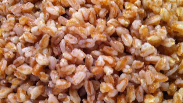 immagine di farro perlato lessato