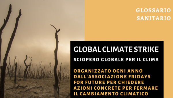 definizione global climate strike